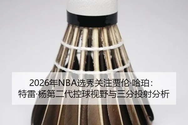 nian-xuan-xiu-guan-zhu-jia-lun-ha-po-te-lei-yang-di-er-dai-kong-qiu-shi-ye-yu-san-fen-tou-she-fen-xi-2-330.jpg