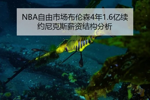 zi-you-shi-chang-bu-lun-sen-nian-yi-xu-yue-ni-ke-si-xin-zi-jie-gou-fen-xi-3-380.jpg